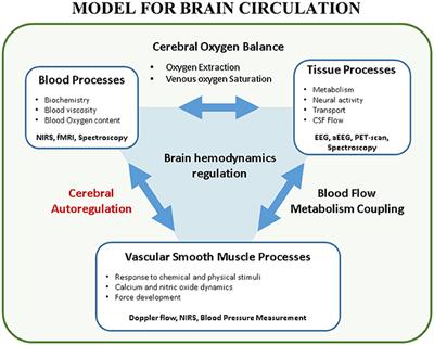 Measuring Near-Infrared Spectroscopy Derived Cerebral Autoregulation in Neonates: From Research Tool Toward Bedside Multimodal Monitoring